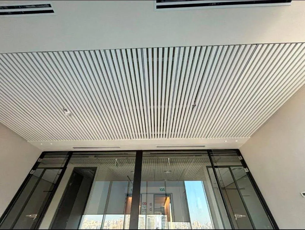 תקרת למלות PET ישרות ACOULINE